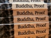 Buddha, Proof by Su Smallen, close-up of stacked book spines