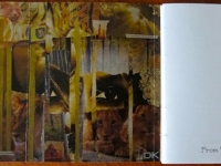 From Tiger To Prayer by Deborah Keenan, inside book cover with gold collage